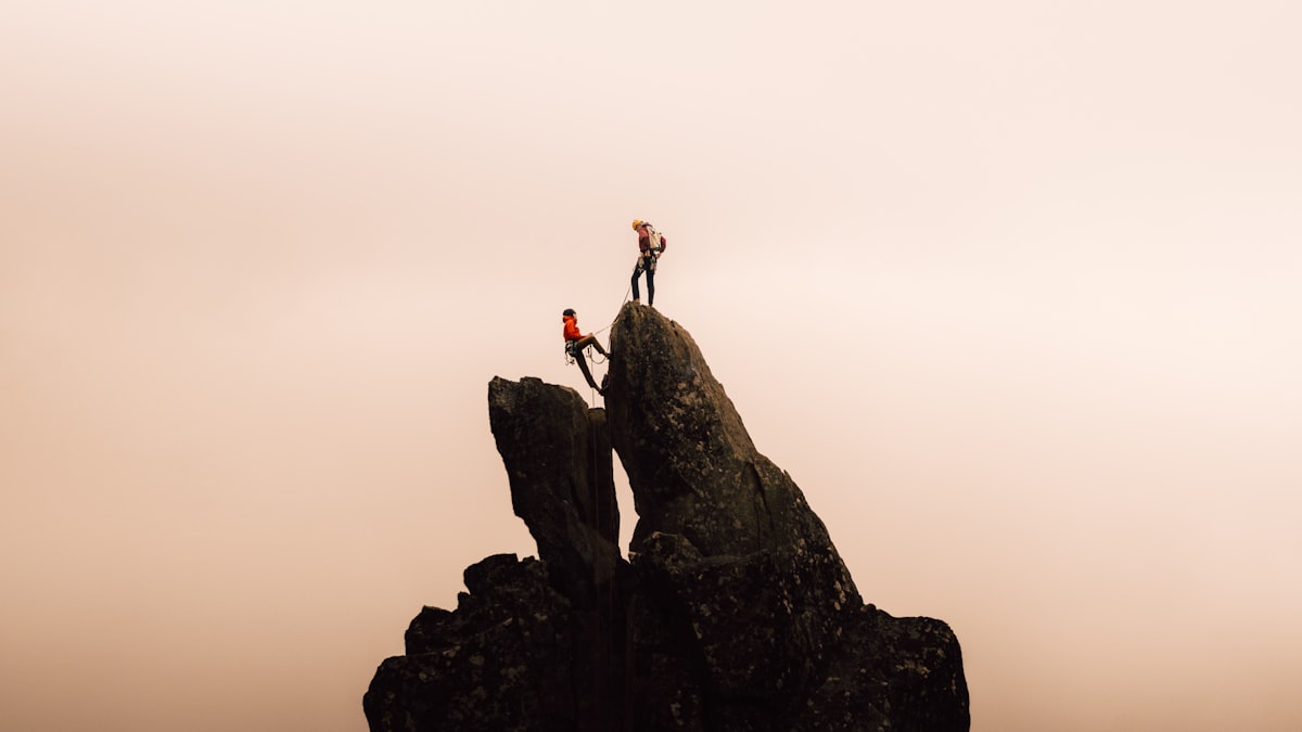 Career growth and design transition mentorship